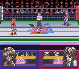 Bishoujo Wrestler Retsuden - Blizzard Yuki Rannyuu!! Screenshot 1